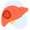 Tes Deteksi Dini Kanker Hati (Liver)